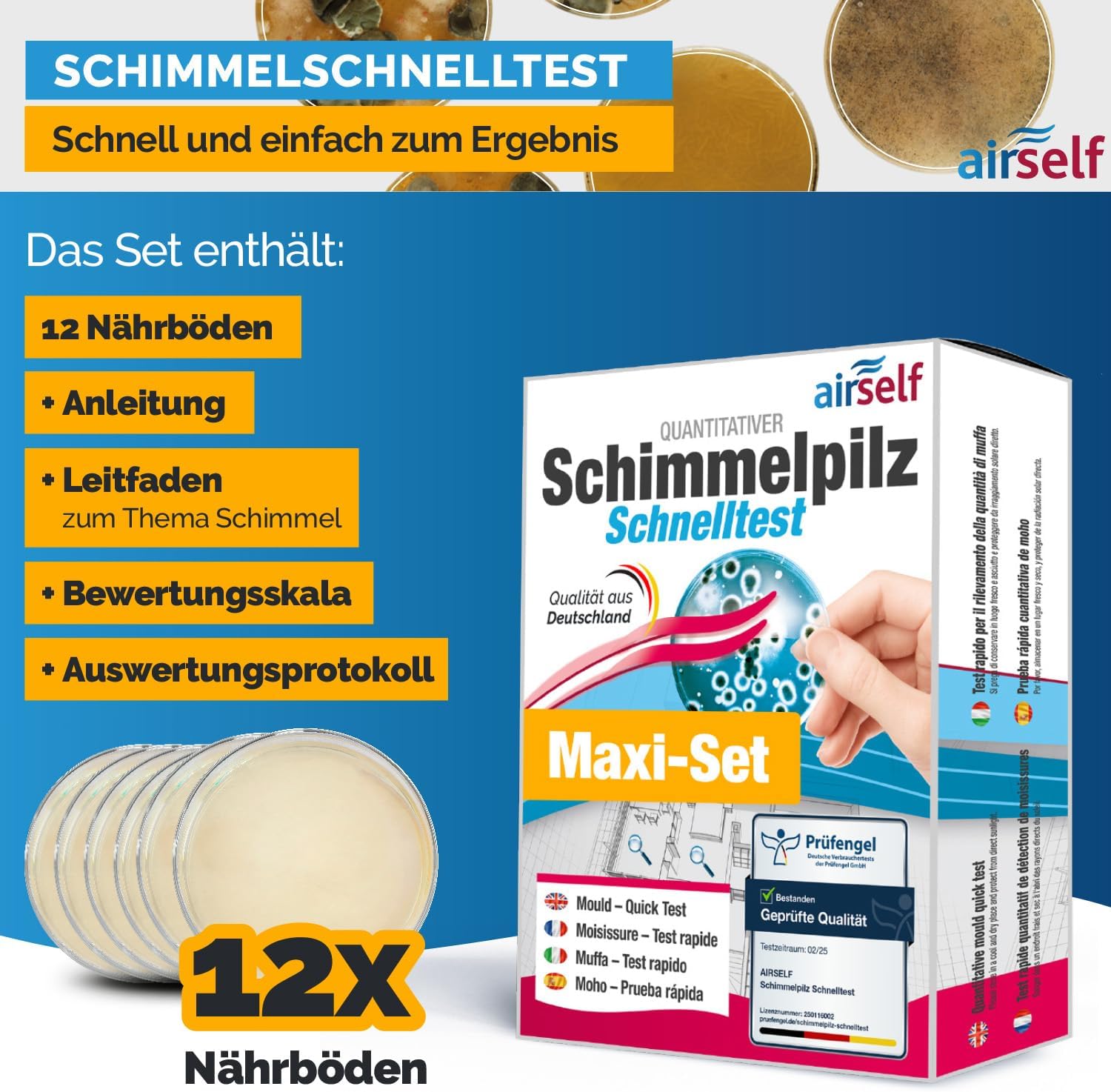 Schimmeltest für bis zu 12 Räume – Moos-Innen-Schnelltest zum Testen des Schimmels – Bild 2