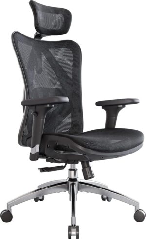 SIHOO Ergonomischer Schreibtischstu...