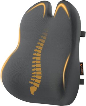 ProtoArc Ergonomisches Memory-Schau...