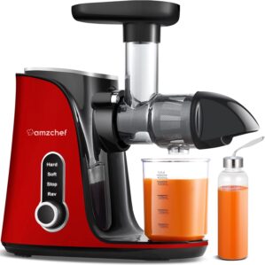 AMZCHEF Entsafter für Gemüse und ...