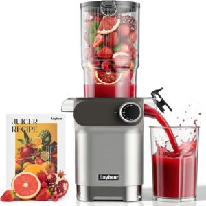 Anybear Entsafter, 200W Slow Juicer...