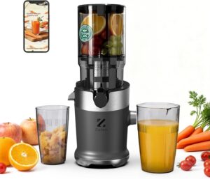 Entsafter, Slow Juicer mit 130 mm b...
