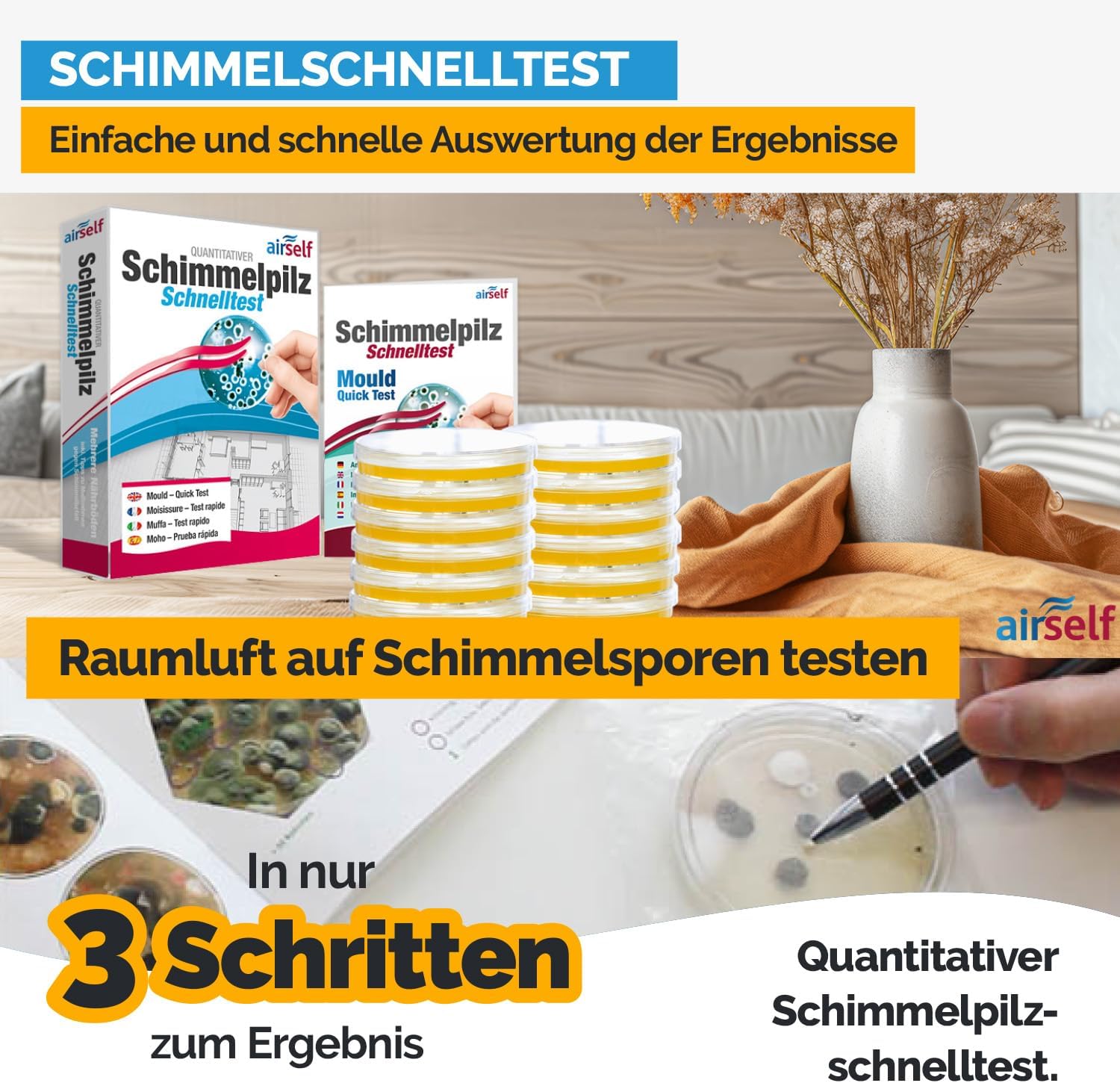 Schimmeltest für bis zu 12 Räume – Moos-Innen-Schnelltest zum Testen des Schimmels – Bild 6