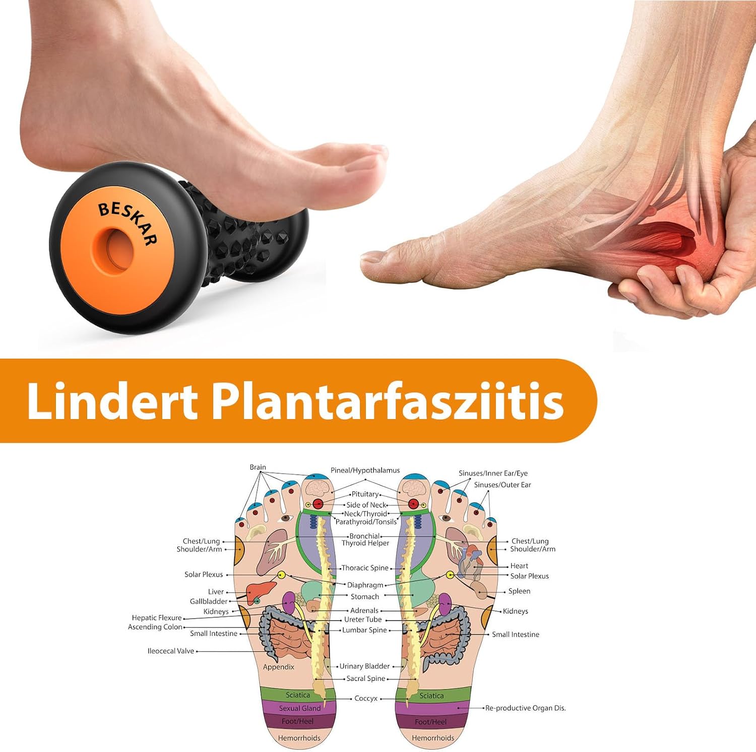 Fußmassageroller für Plantarfasziitis, tragbarer Gummi-Massageroller zur Linderung von Schmerzen im Fußgewölbe, Massageroller für Schmerzen im Fußgewölbe, Fersenspornschmerzen, Stressabbau, Neuropathie – Bild 3