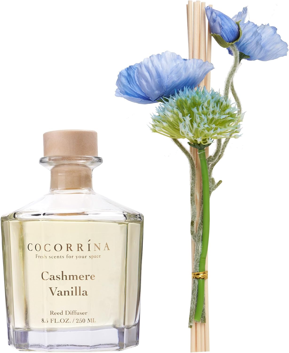 Cocorrína Blumen-Raumduft mit 8 Duftstäbchen, 250 ml, Kaschmir-Vanille, natürlich, langlebig, Schilfrohr-Diffusor für Zuhause, Schlafzimmer, Büro, Badezimmer, Regaldekoration (Master Collection) – Bild 4