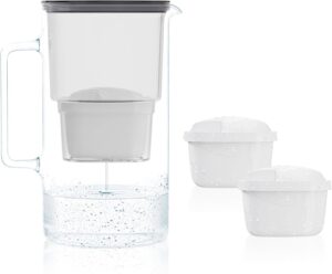 Wessper Wasserfilterkrug Glas 3 L, ...