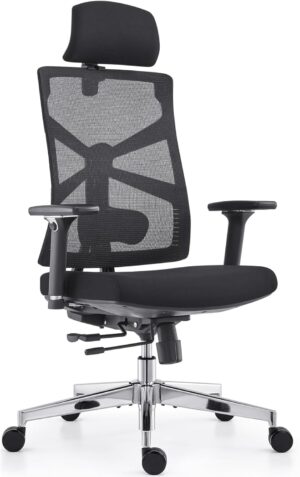 HOLLUDLE Ergonomischer Bürostuhl m...