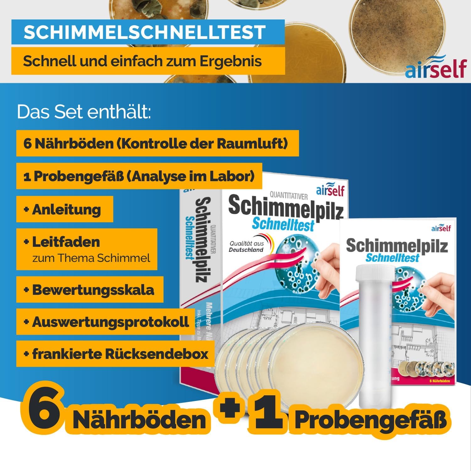 Schimmeltest-Kombipaket Passiver Schnelltest plus Schimmeltestlabor für bis zu 6 Räume – Bild 2