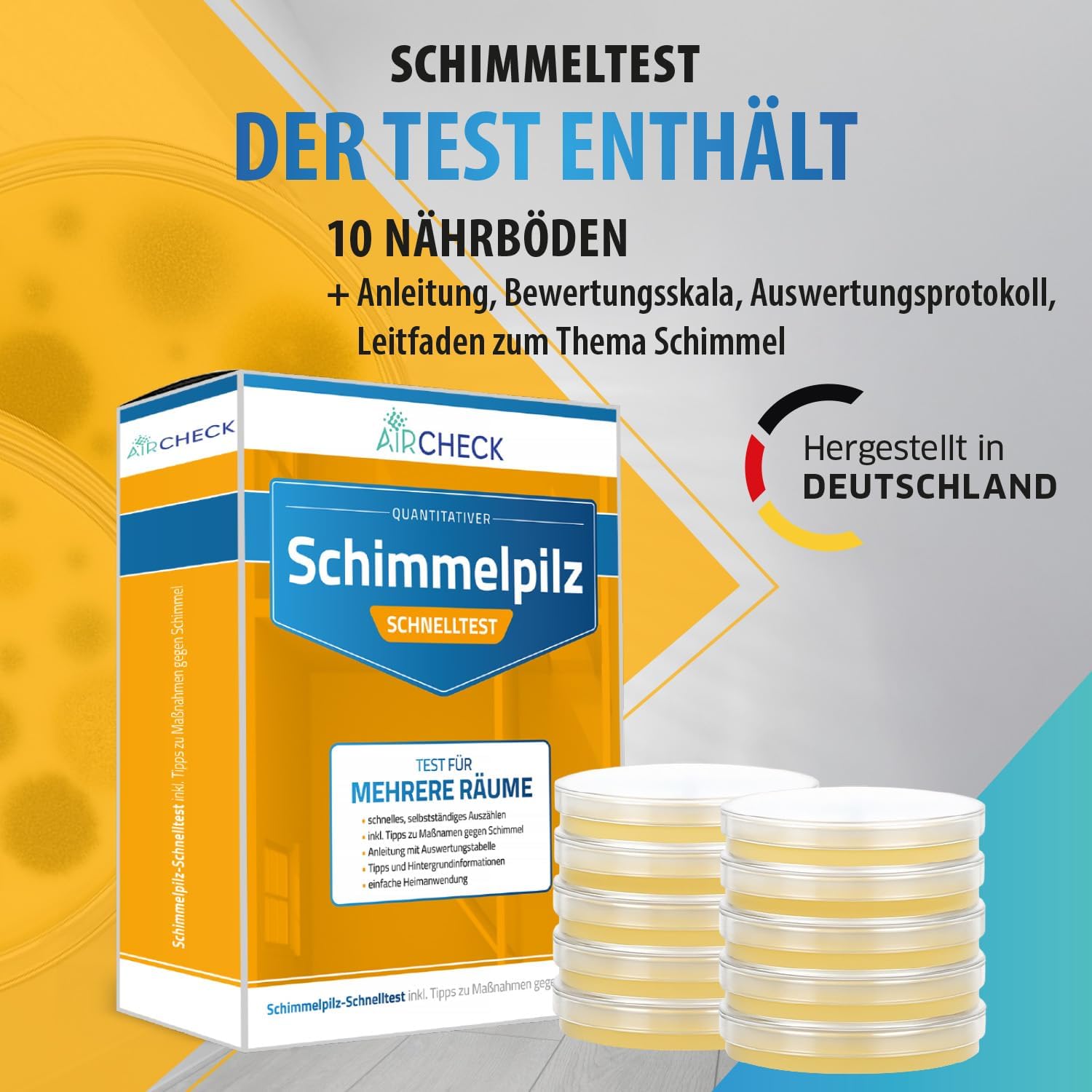 Schimmel-Schnelltest, 10 Nährmedien für mehrere Räume, Schimmeltest für zu Hause, hergestellt in Deutschland, inklusive Anleitung und Auswerteprotokoll – Bild 2