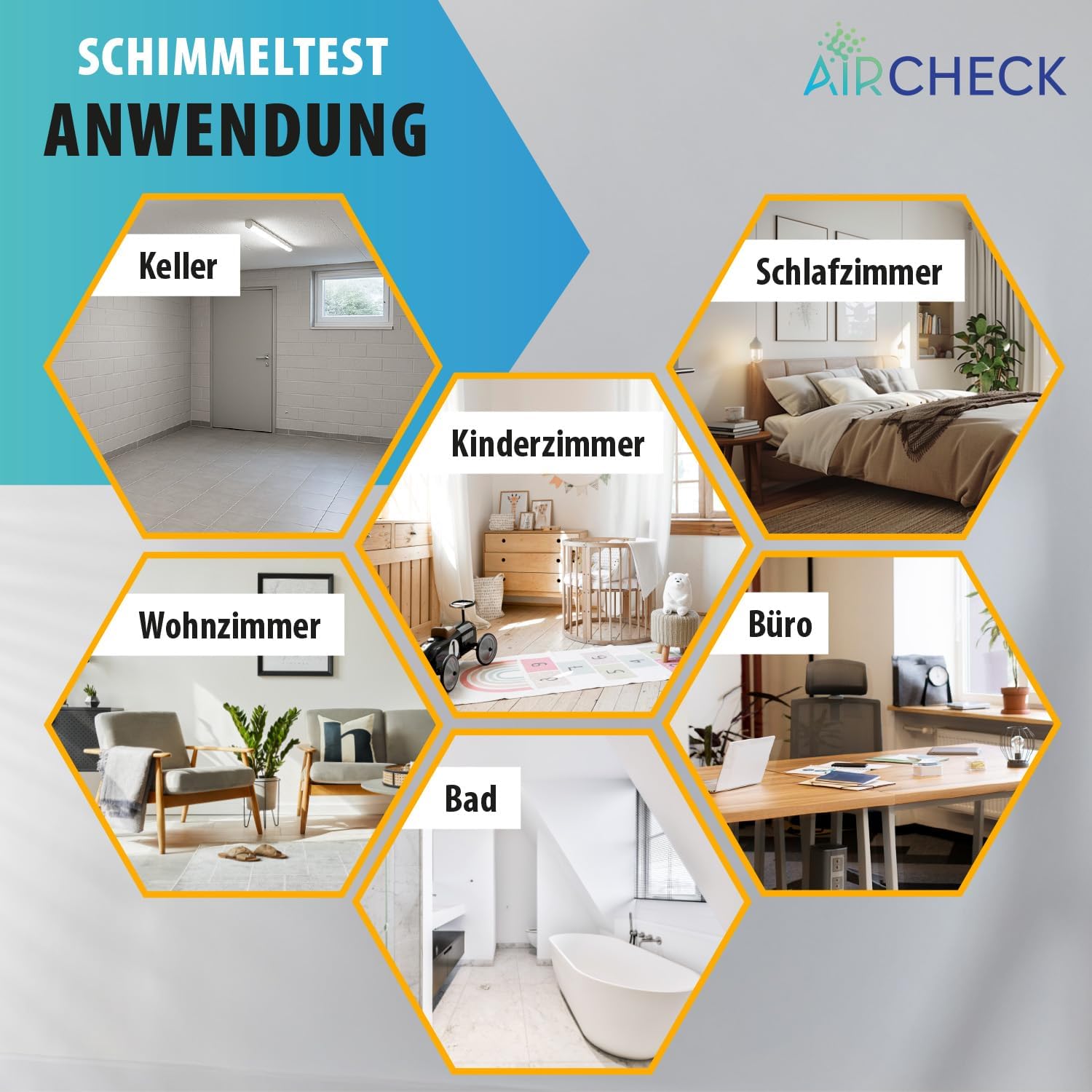 Schimmel-Schnelltest, 10 Nährmedien für mehrere Räume, Schimmeltest für zu Hause, hergestellt in Deutschland, inklusive Anleitung und Auswerteprotokoll – Bild 3