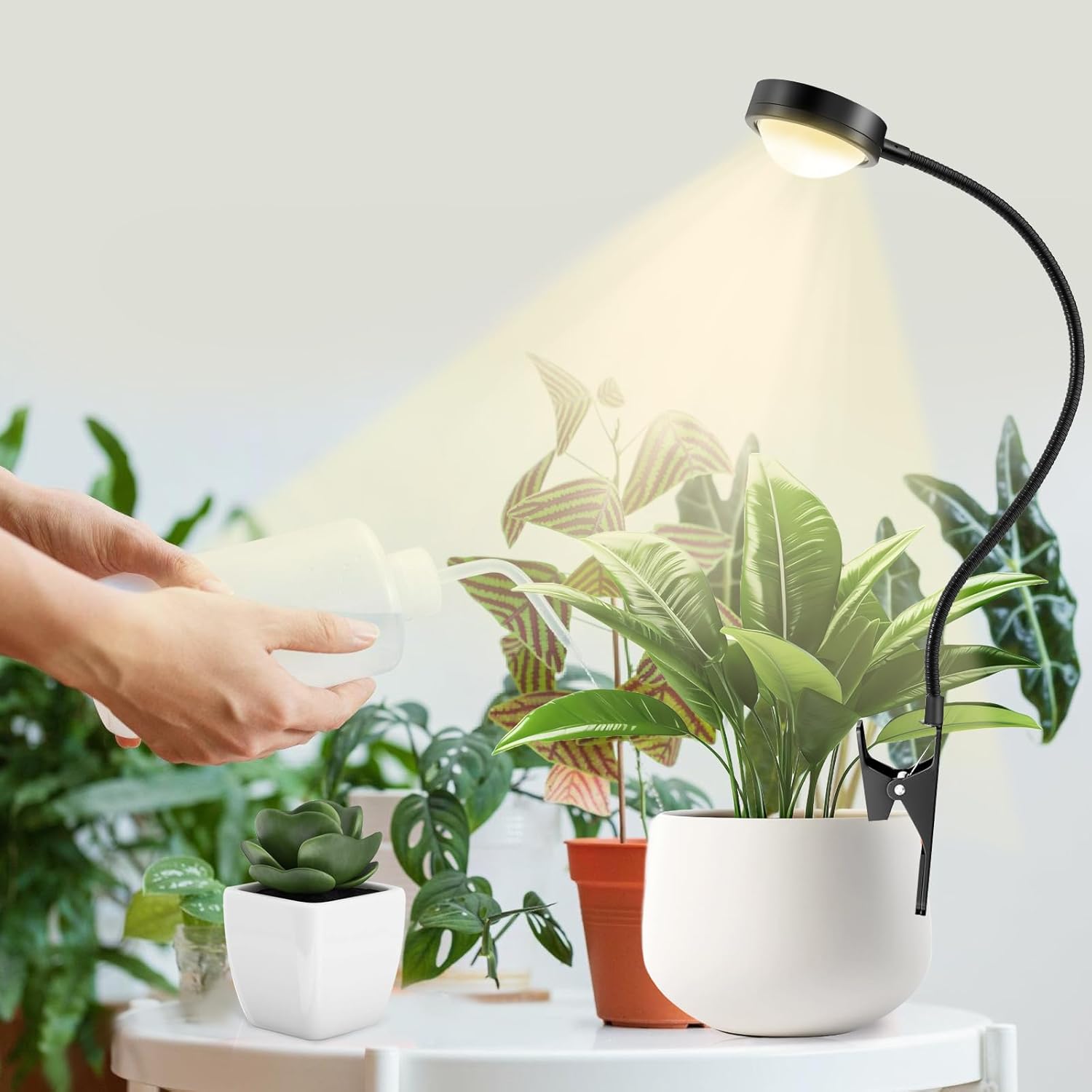 Pflanzenlampe LED Vollspektrum mit optischer Linse für hohe PPFD, Pot Clip Grow Lampe mit 6/12/18H Timer, Grow Light Pflanzenlicht Wachstumslampe mit Schwanenhals für Zimmerpflanzen – Bild 8