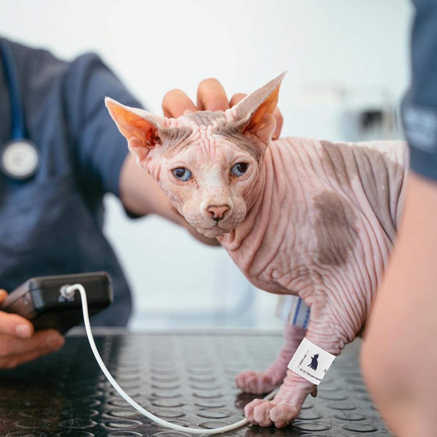 Blutzuckermessgerät für Katzen mit tragbarer Manschette aus Vliesstoff. Bequeme und Zuverlässige Ersatzmanschette für Tierarztbedarf und Haustierbesitzer – Bild 5