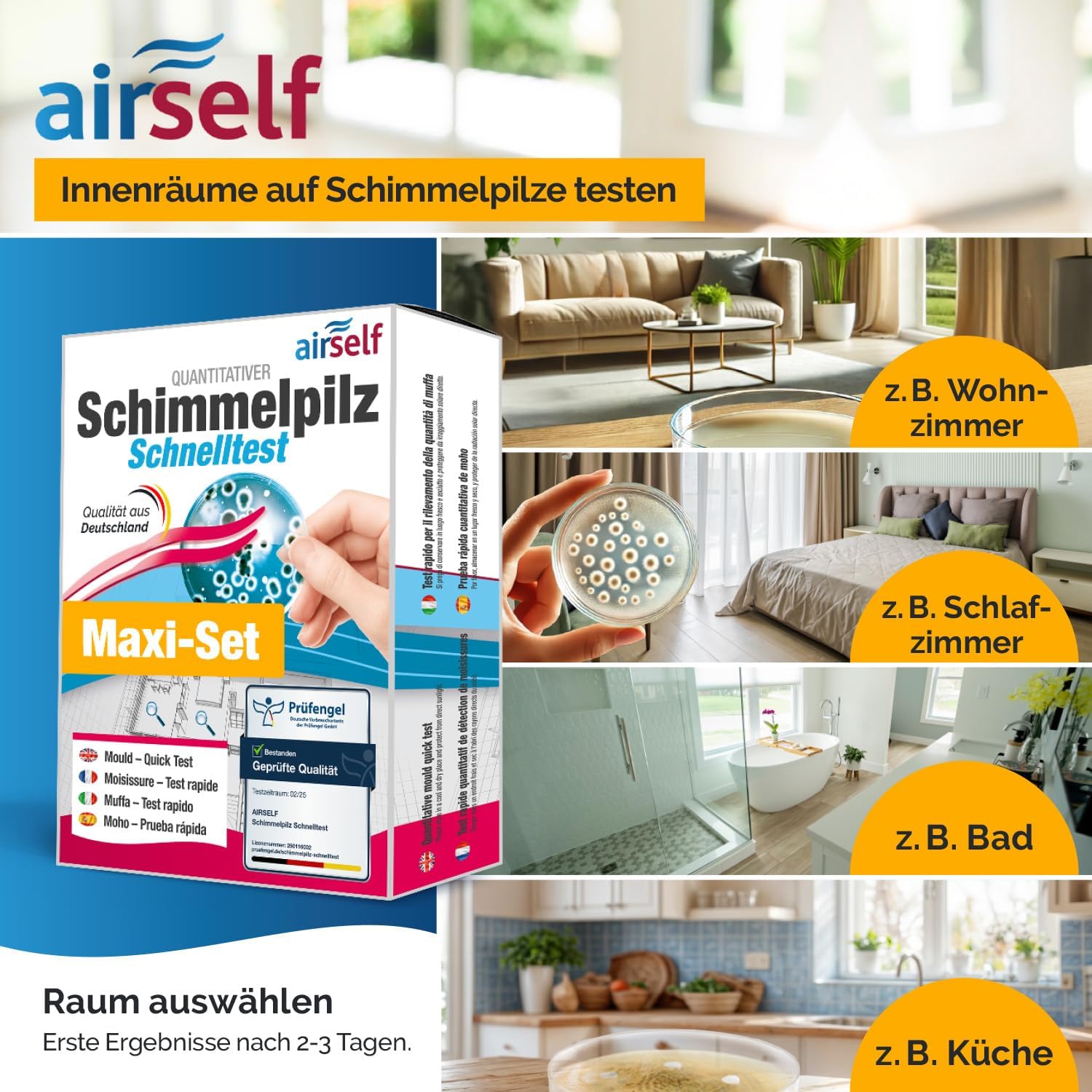 Schimmeltest für bis zu 12 Räume – Moos-Innen-Schnelltest zum Testen des Schimmels – Bild 3