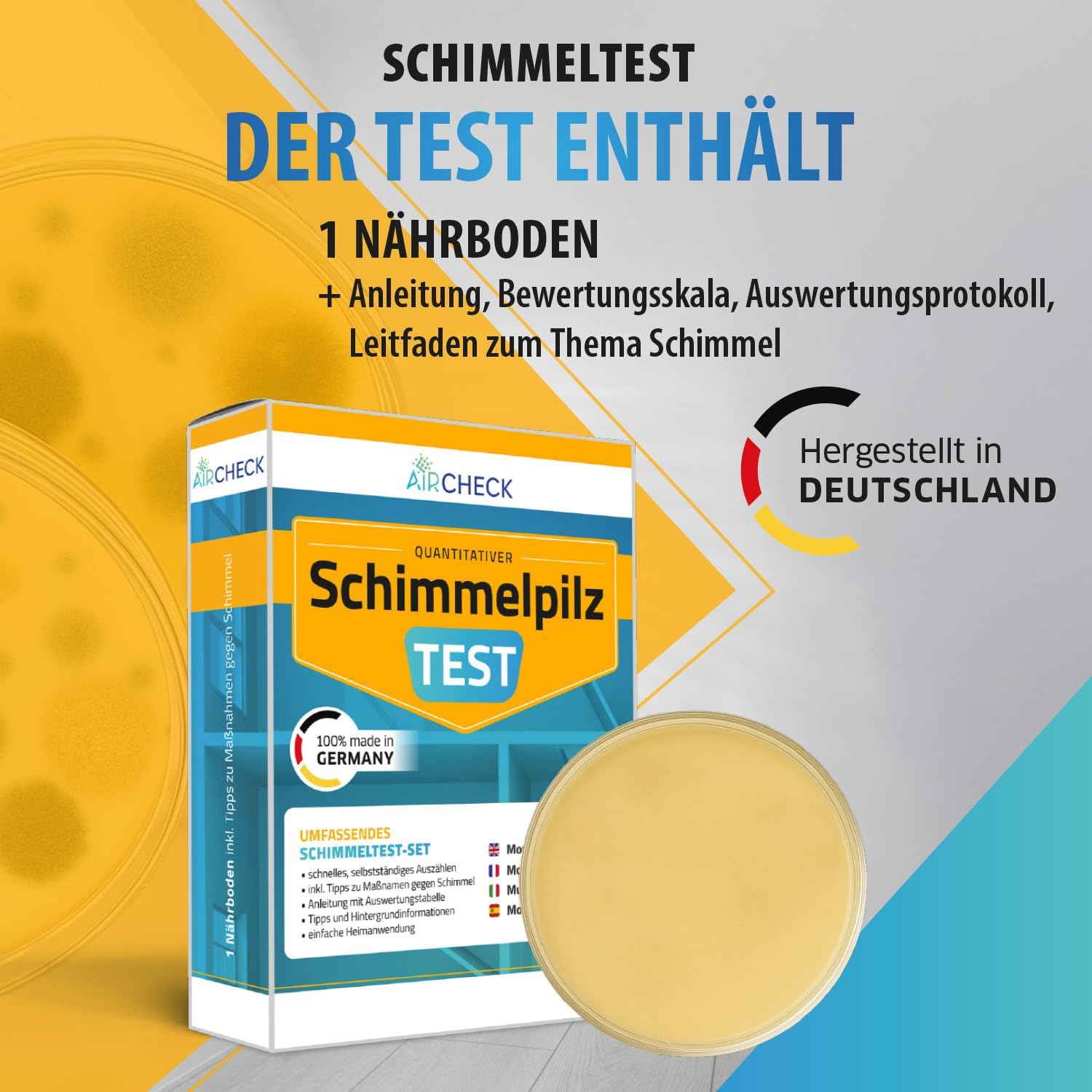 Schimmeltest für zu Hause – 1 x Schnell-Schimmeltest zur Feststellung von Schimmelbefall im Wohnzimmer – Bild 2
