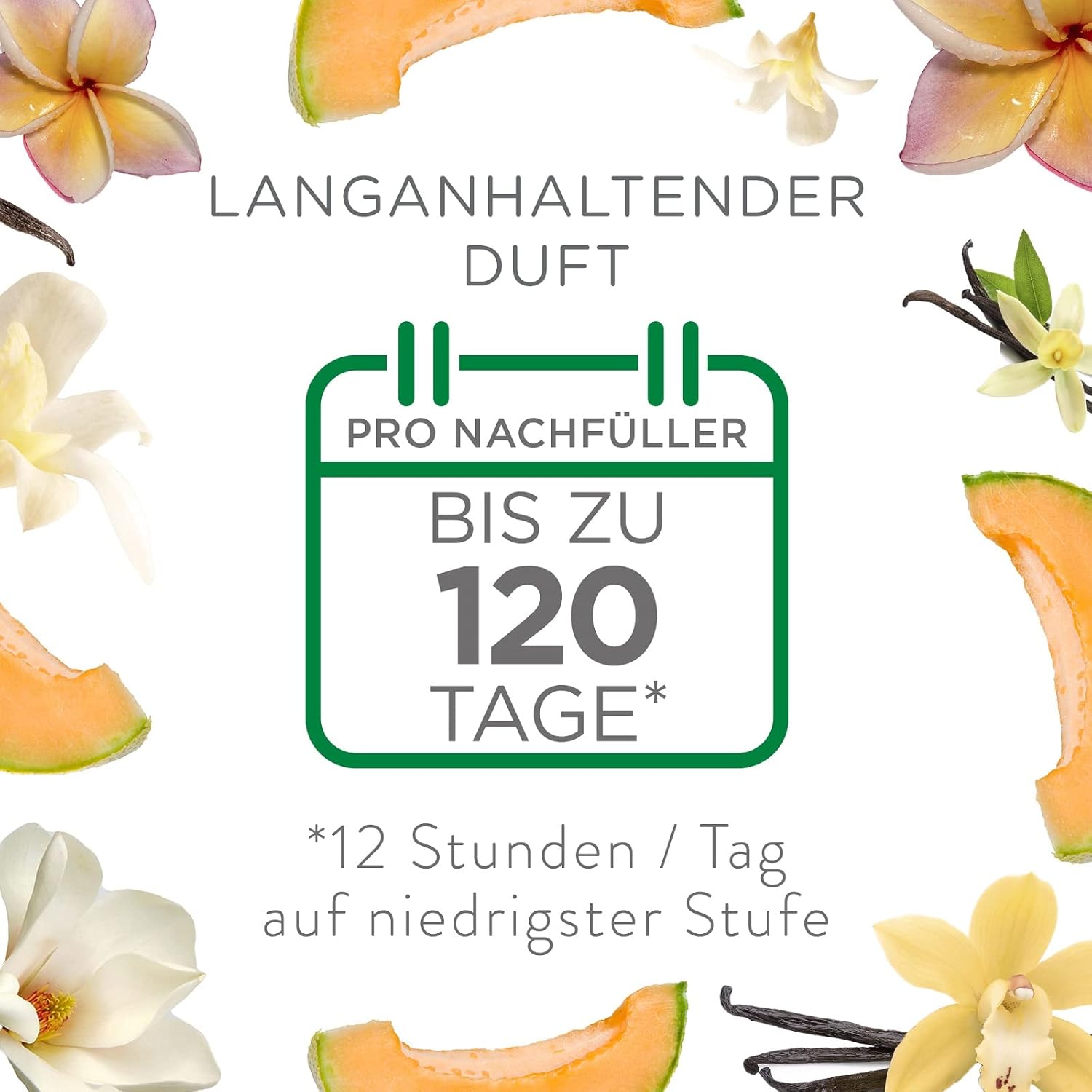 Air Wick Plug-In-Duftöl-Starterset – 1x Plug-In-Diffusor mit 3 Nachfüllungen – Frischer Lufterfrischer mit ätherischen Ölen – Duft: Summer Delights – 3x 19 ml Duftöle + weißer Diffusor – Bild 5