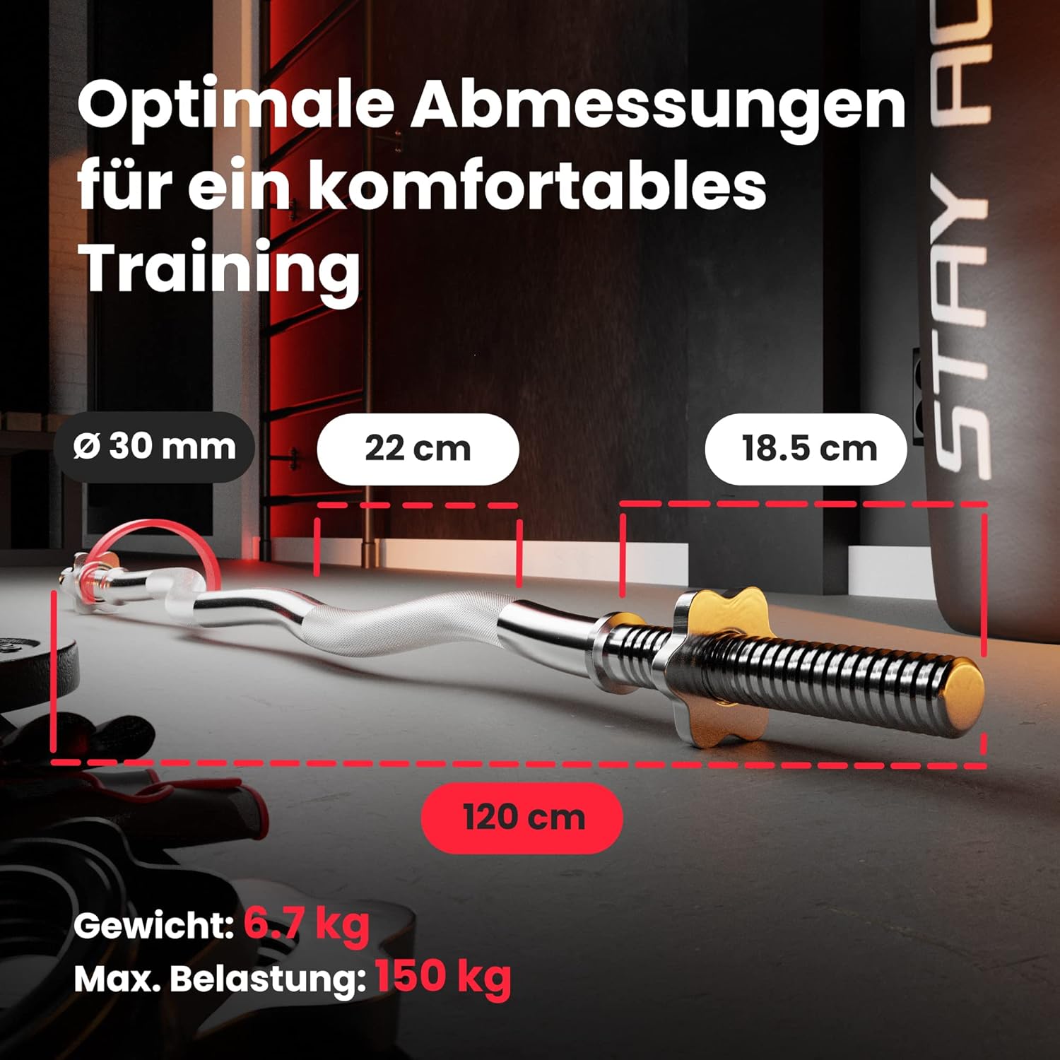 Hop-Sport Gusseisen-Hantelset mit EZ Curlstange, Kurzhantelstange und Gewichten, 1x Curlstange, 2x Hantelstange, 37 kg, 57 kg oder 77 kg Set zur Auswahl – Bild 4