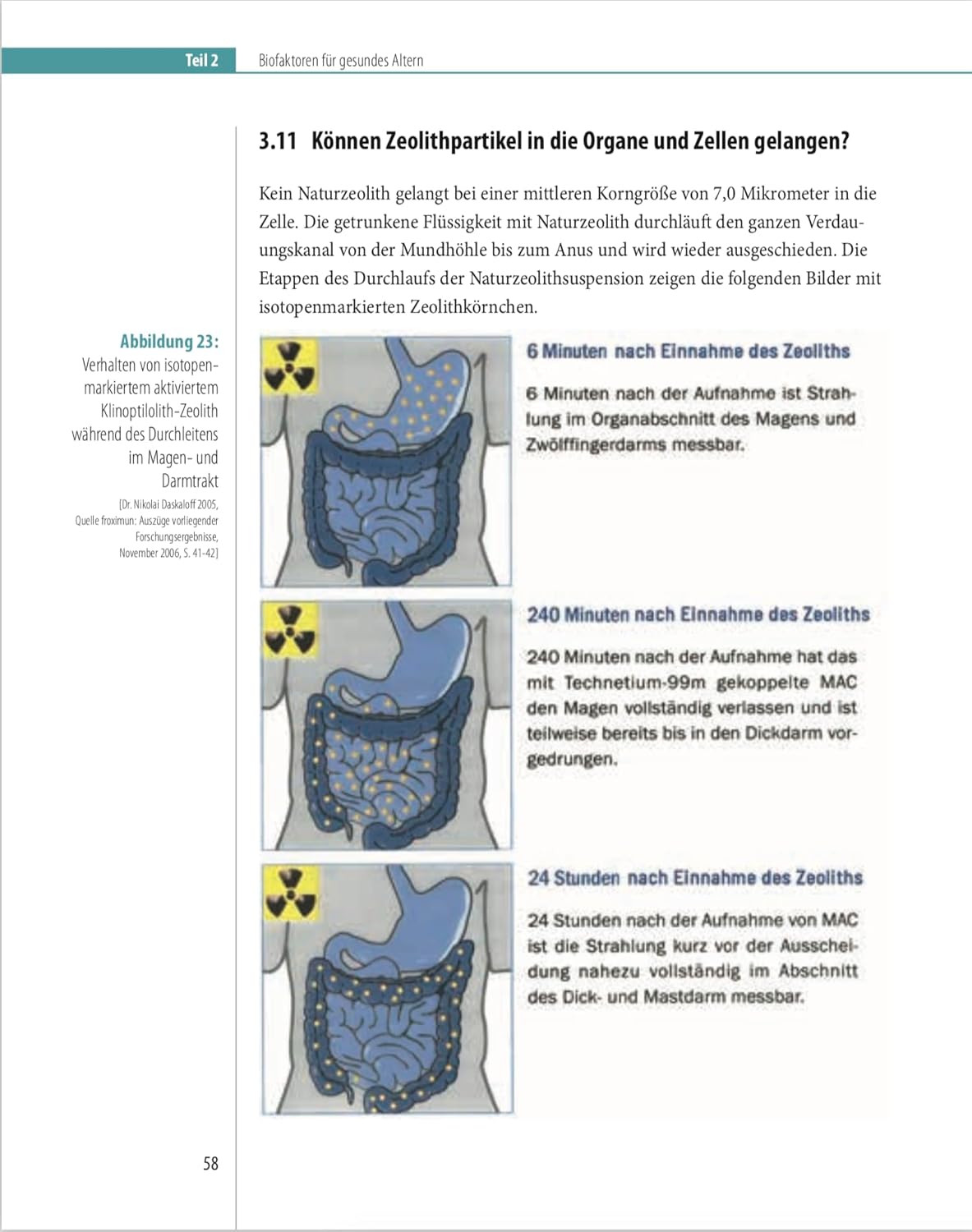 Biofaktoren für gesundes Altern: Sinnvolle Nahrungsergänzungsmittel und Maßnahmen, um mit einer gesunden Lebensweise vital alt zu werden. Ein Ratgeber für Gesundheit ohne Ablaufdatum – Bild 11