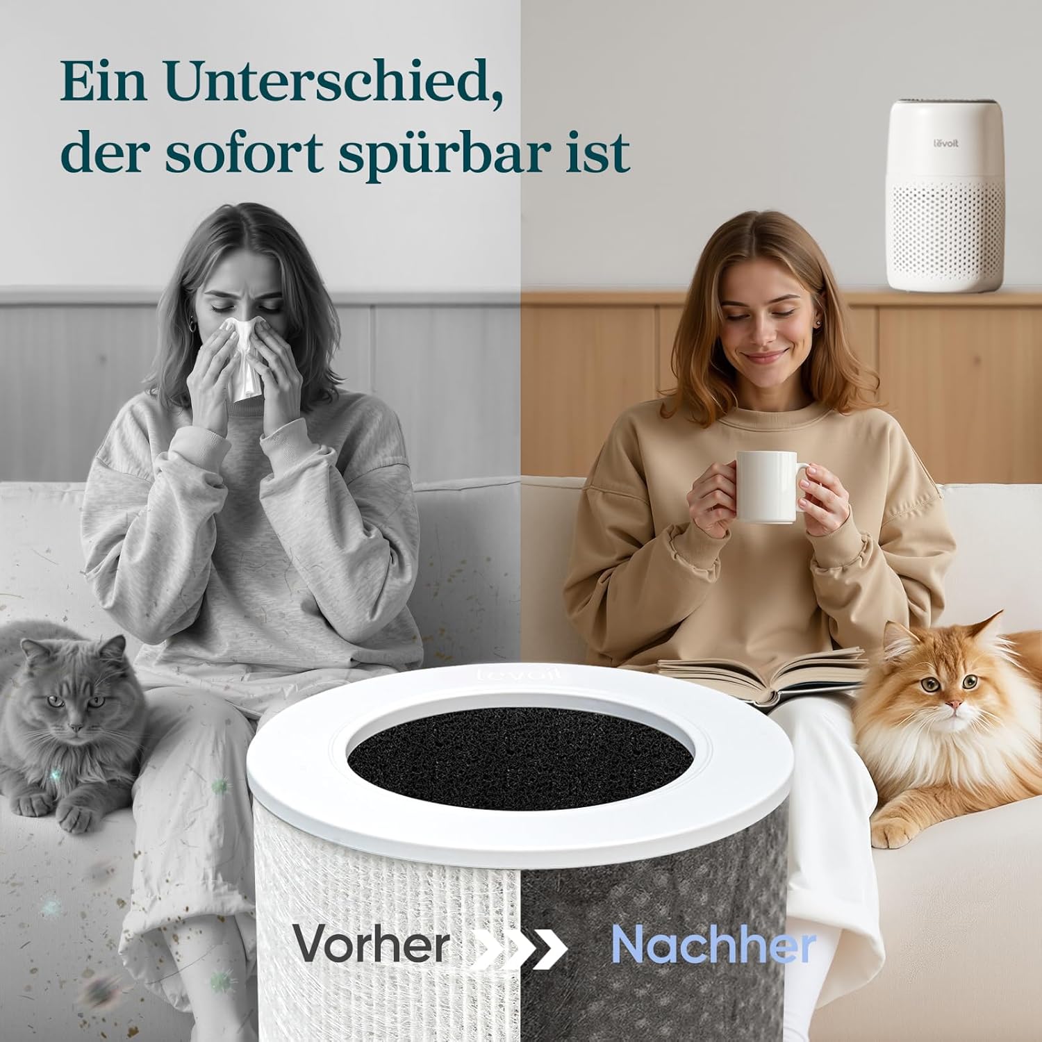 Levoit Luftreiniger für Allergiker mit Aromatherapie, HEPA-Luftfilter gegen Schimmel, Staub und Tierhaare bis 0,3 µm für Schlafzimmer, 7 Watt energiesparend, 3 Geschwindigkeiten, weiß – Bild 6