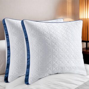 Kissen 80 x 80 cm, 2er-Set, 2 x ort...