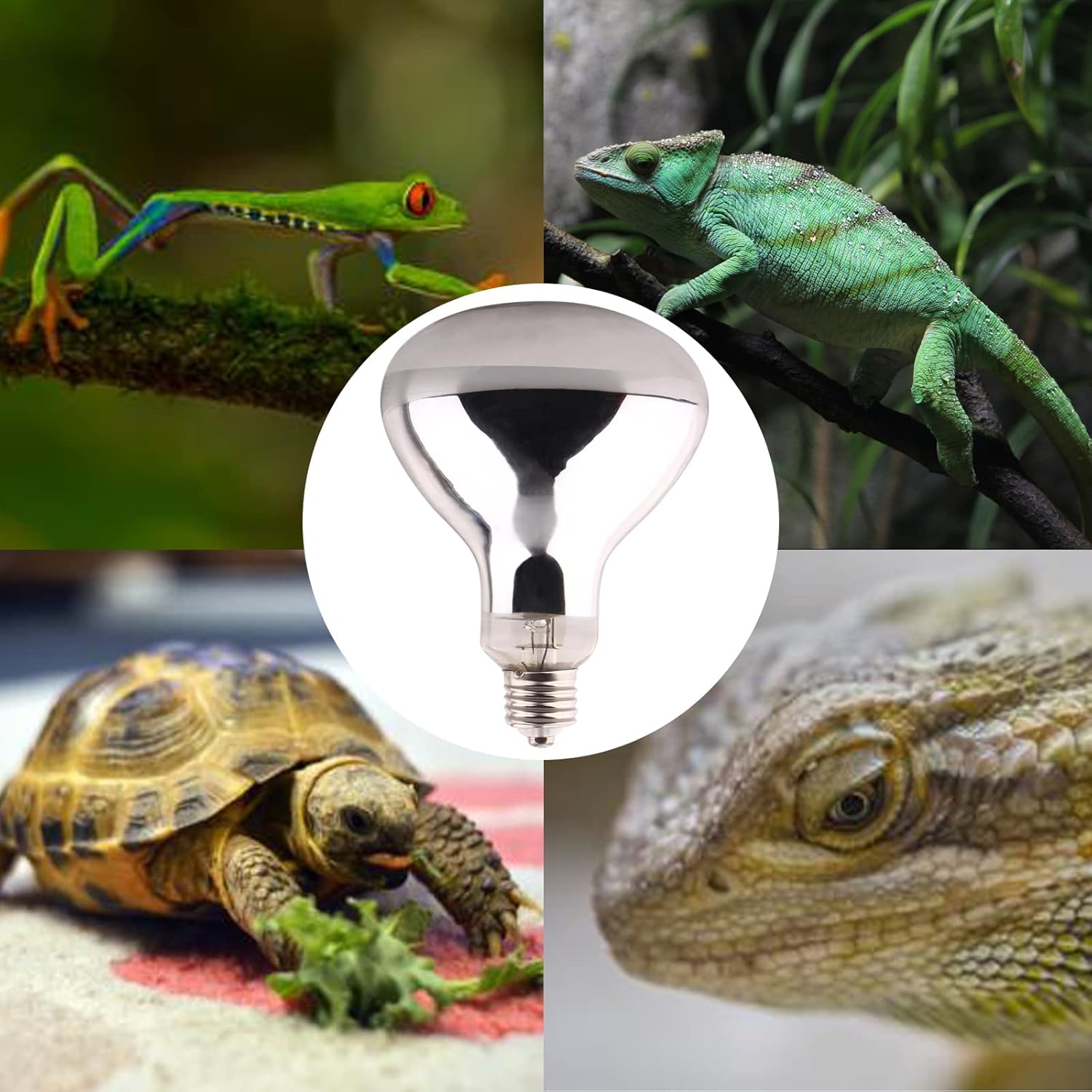 DERNORD UVA UVB Wärmelampe, UV-Lichtlampe, 100 Watt, für Schildkrötenhaus, Gecko, Bartagamen, Terrarium, Solarstrahler, Vollspektrum, Tageslichtlampe, E27-Fassung – Bild 5