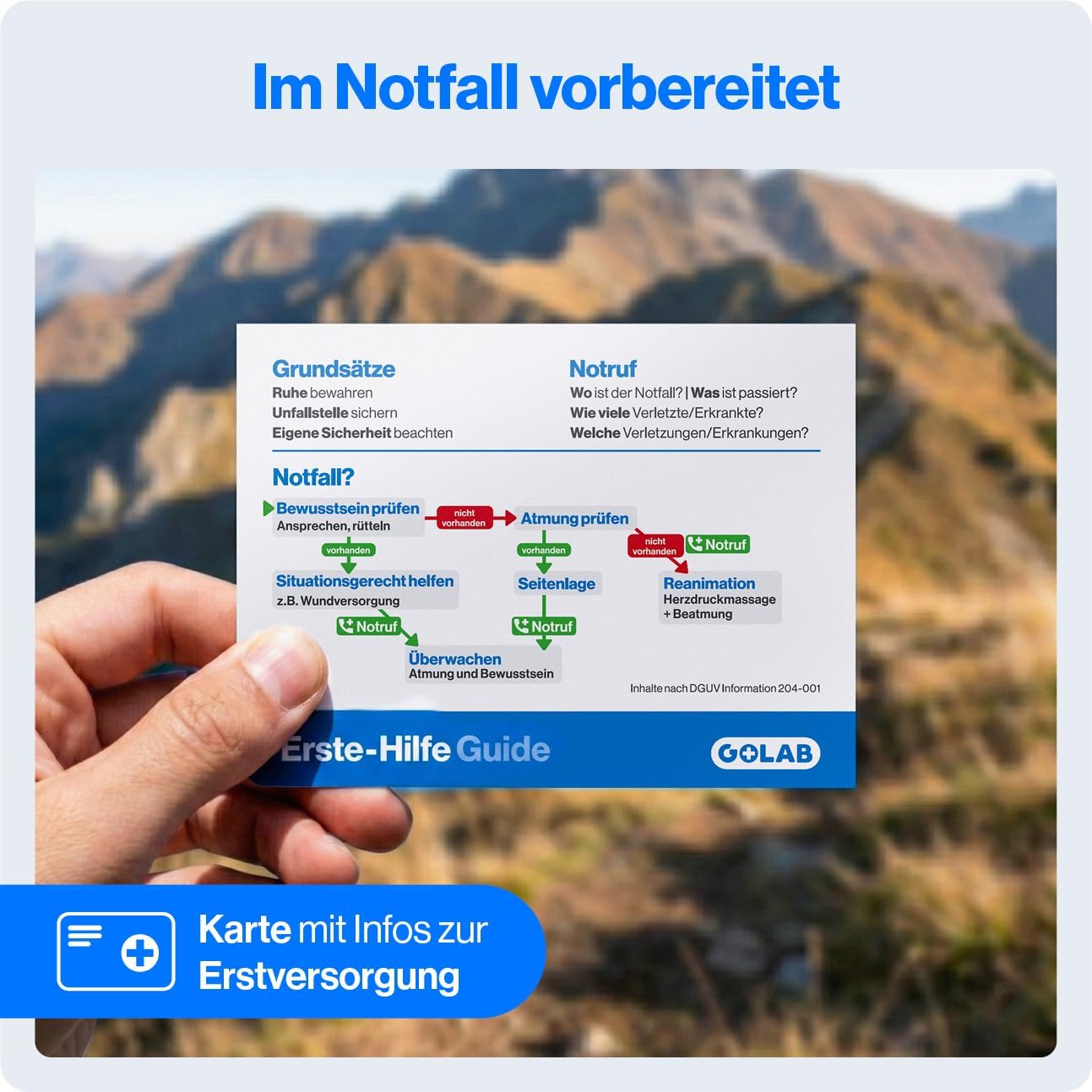 GoLab Mini Erste-Hilfe-Set mit 46 Teilen – Kompaktes Notfallset für Zuhause, Outdoor, Reisen, Camping & Sport – Erste-Hilfe-Ratgeber nach DGUV, geordnet in 3 Fächern 195 g, DIN-konforme Reiseapotheke – Bild 7