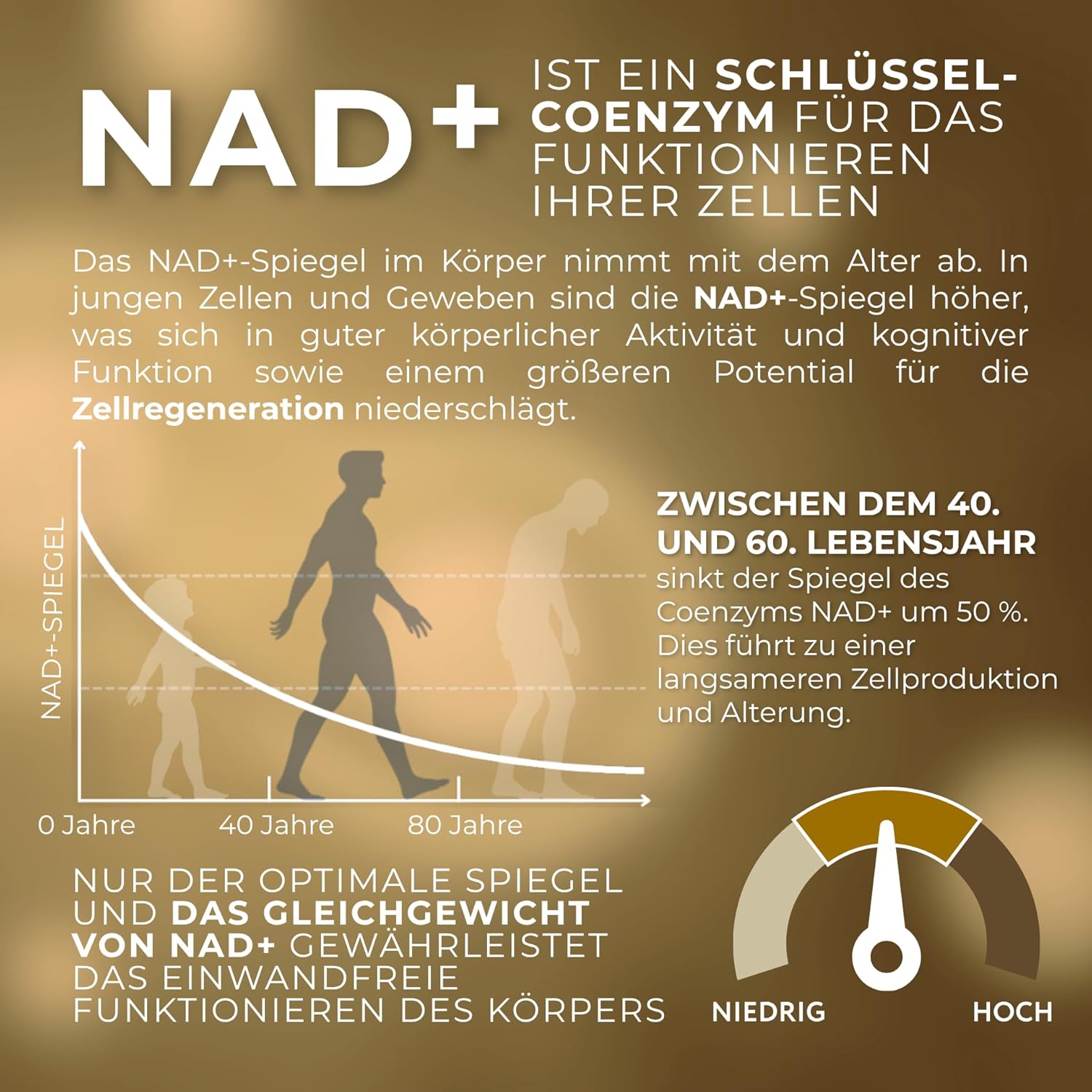 1-MNA PRO, optimierendes NAD+, Sirtuin-Aktivator, Anti-Aging, doppelte Dosis für schnellere Wirkung, Biohacking-Ergänzung, Unterstützung der Zellgesundheit, 30 Kapseln – Bild 4