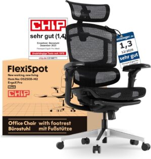 FLEXISPOT ErgoX Pro Ergonomischer B...