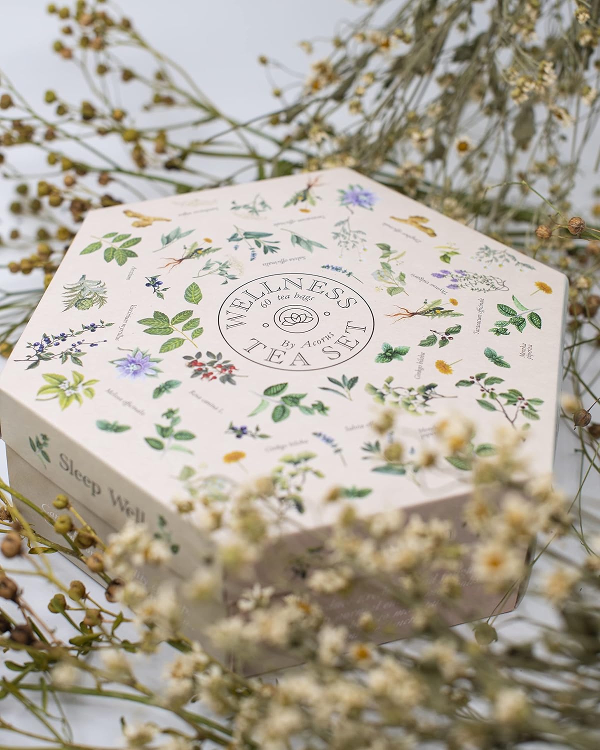 ACORUS Wellness-Teeset – Naturtee-Auswahlbox mit 6 Geschmacksrichtungen, Tee-Geschenkset, große Teebox mit 60 Kräuter-Teebeuteln, 6 funktionelle Tees – Bild 6