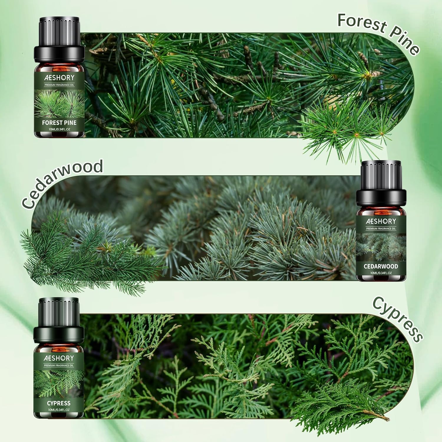 AESHORY Woody Essential Oils Set 6 x 10 ml, natürliches Aromatherapie-Duftöl-Geschenkset für Diffusor, Kerzenherstellung – Weihrauch, Sandelholz, Zedernholz, Teak, Zypresse, Waldkiefer – Bild 4