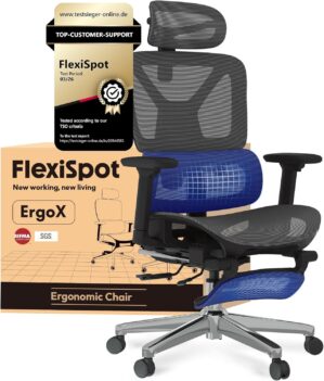 FLEXISPOT ErgoX Ergonomischer Büro...