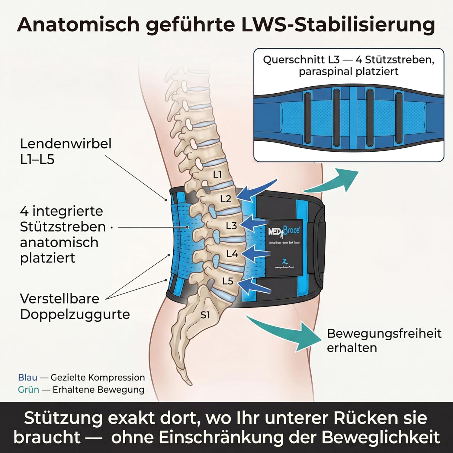 Rückenstütze, unterer Lendengürtel MEDiBrace II (medizinische Qualität) Linderung von Schmerzen und Beschwerden bei Ischias, Rückenschmerzen, Bandscheibenvorfall, Hernie, Stenose der Wirbelsäule, Prävention von Wirbelsäulenverletzungen | Haltungskorsett – Bild 3
