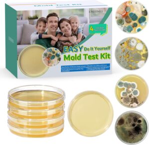 Schimmeltest-Kit für zu Hause – ...