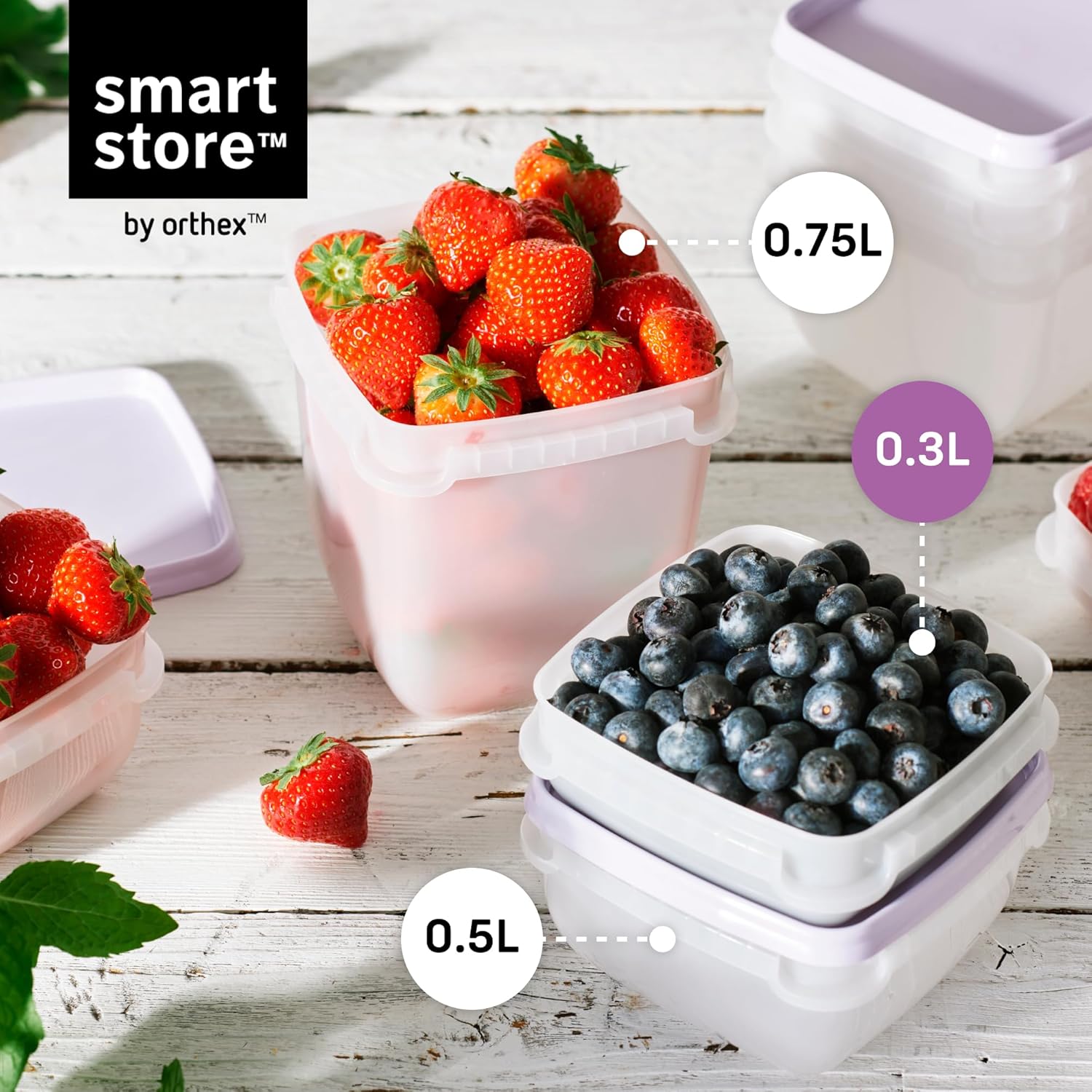 SmartStore Frischhaltedosen mit Deckel und Kühlschrank-Organizer, 0,3 l, 6er-Set, geeignet für Kühlschrank und Gefrierschrank, BPA-freie Meal-Prep-Boxen – Bild 5