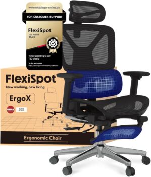 FLEXISPOT ErgoX Ergonomischer Büro...