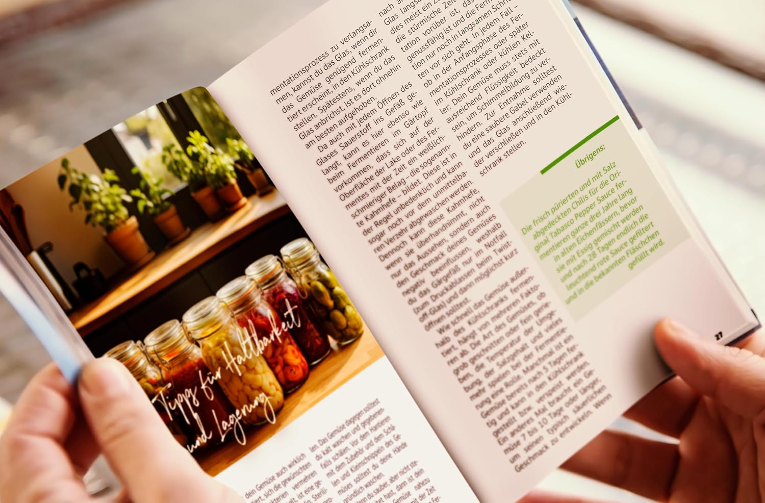 Glück im Glas - Fermentieren durch das ganze Jahr: Mit saisonalen Rezepten, Schritt-für-Schritt-Anleitungen und praktischem Wissen – für mehr Geschmack und Gesundheit I von Kimchi bis Kombucha – Bild 2