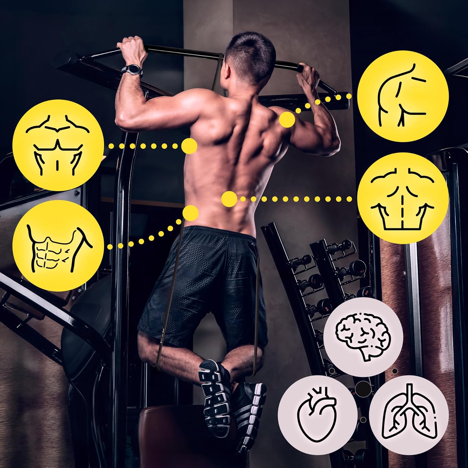 SENSEI Gym Band für Klimmzüge & Krafttraining – Resistance Band, Widerstandsband aus Naturlatex – Trainingsband inkl. Übungs-E-Book – Bild 4
