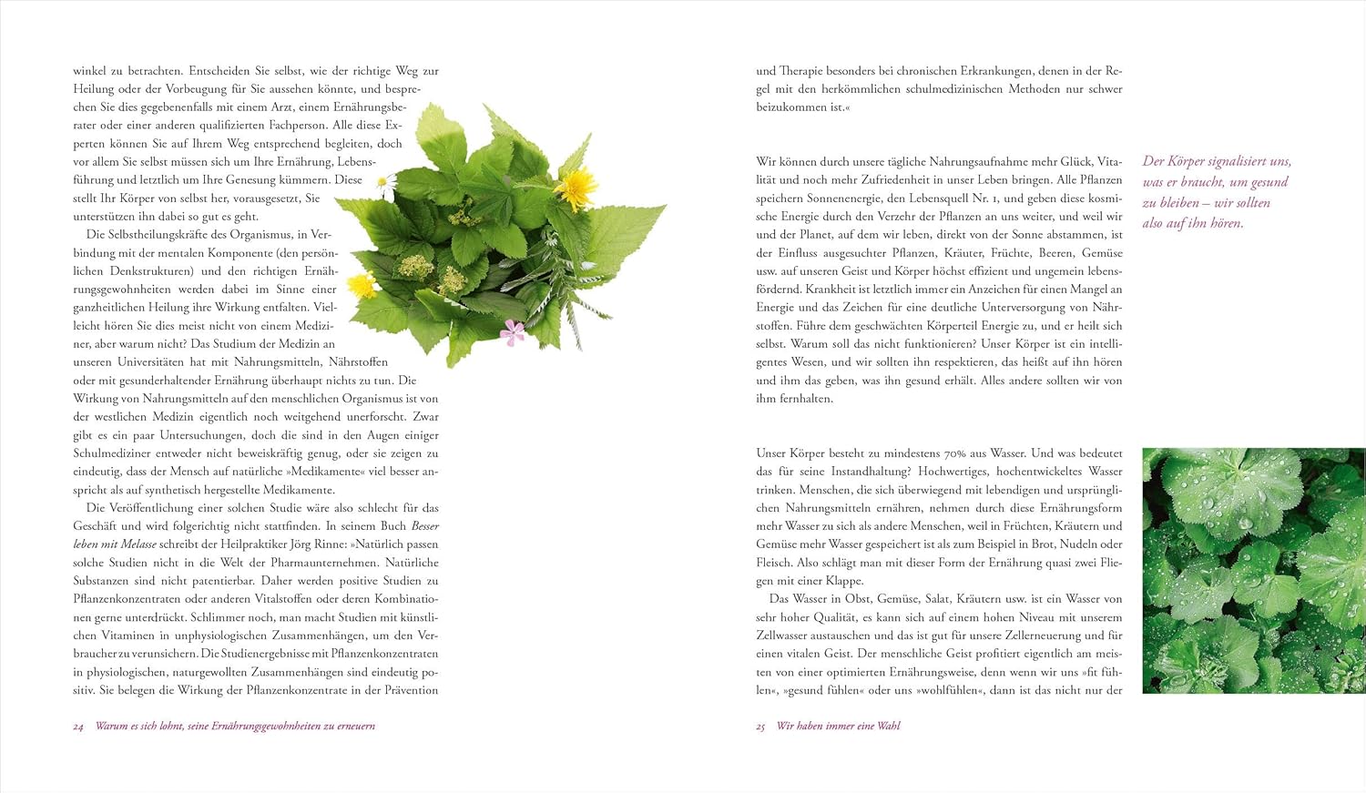 Wildkräuter – mein Lebensretter. Selbstheilung mit der Natur: Das Immunsystem stärken, Krebs vorbeugen, Prophylaxe und gesunde Ernährung. Mit vielen Rezepten. – Bild 3