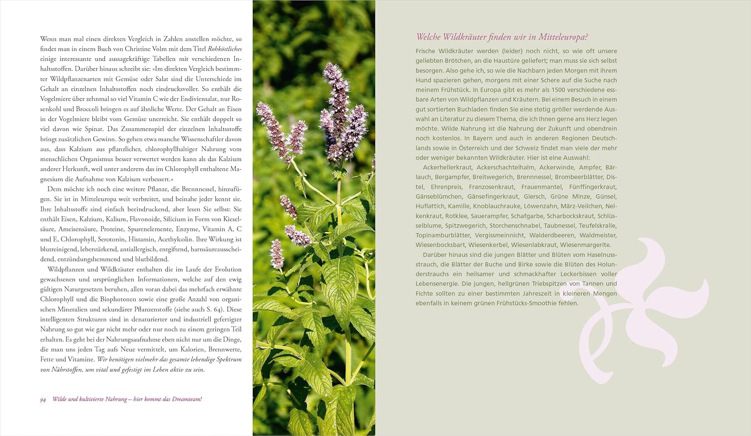 Wildkräuter – mein Lebensretter. Selbstheilung mit der Natur: Das Immunsystem stärken, Krebs vorbeugen, Prophylaxe und gesunde Ernährung. Mit vielen Rezepten. – Bild 4