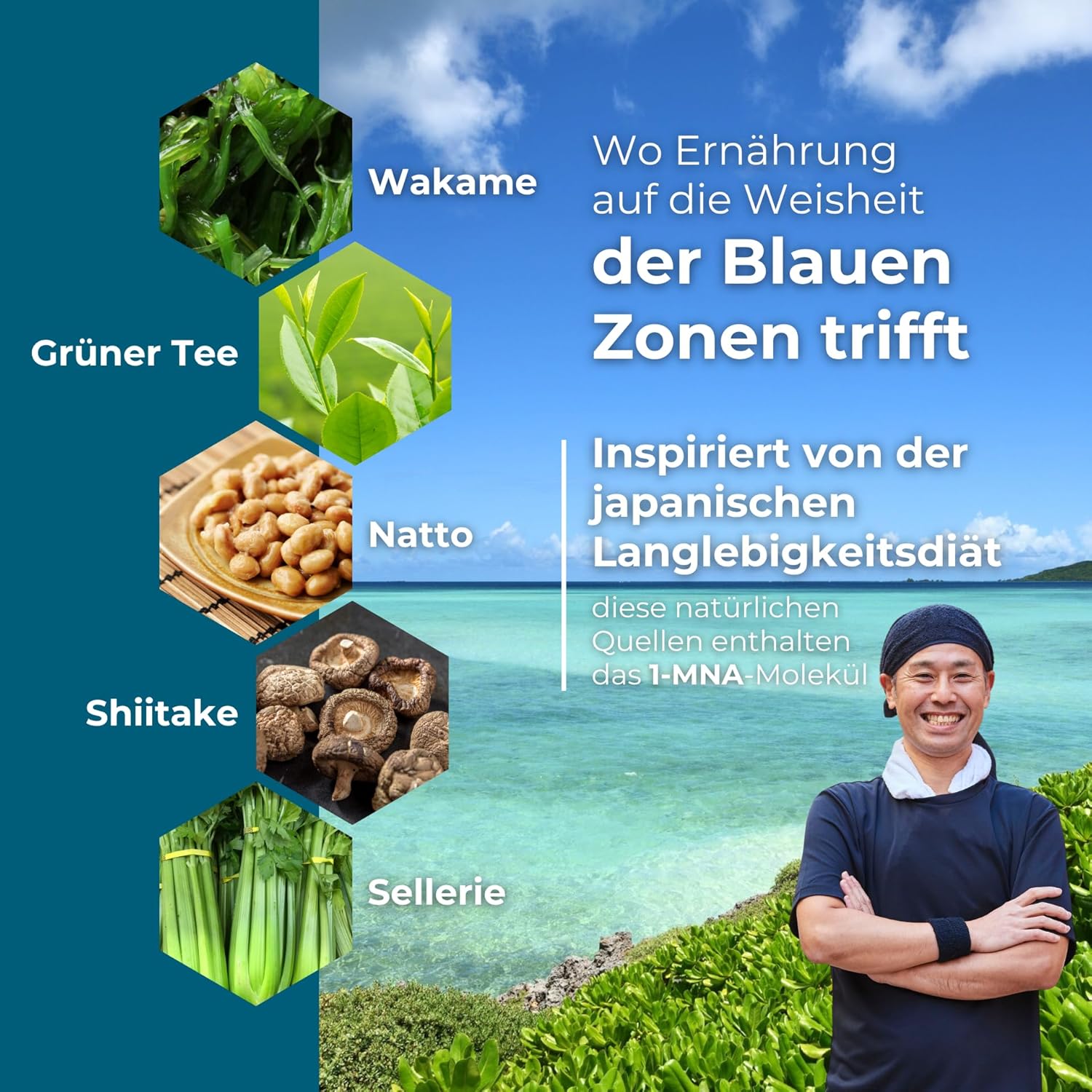 1-MNA, optimierendes NAD+, Anti-Aging, Biohacking-Ergänzung, Sirtuin-Aktivator, Unterstützung der Zellgesundheit, 30 Kapseln – Bild 5