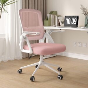 naspaluro Ergonomischer Bürostuhl ...