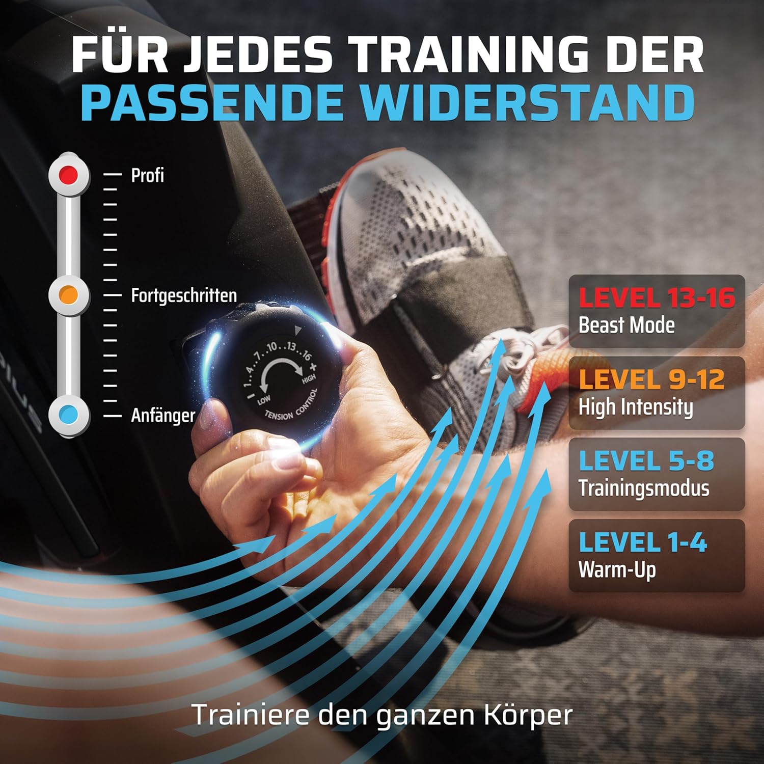 SportPlus Klappbares Rudergerät für zu Hause, TÜV geprüft, leises und wartungsfreies Magnetbremssystem, kugelgelagerter Rudersitz – Bild 3