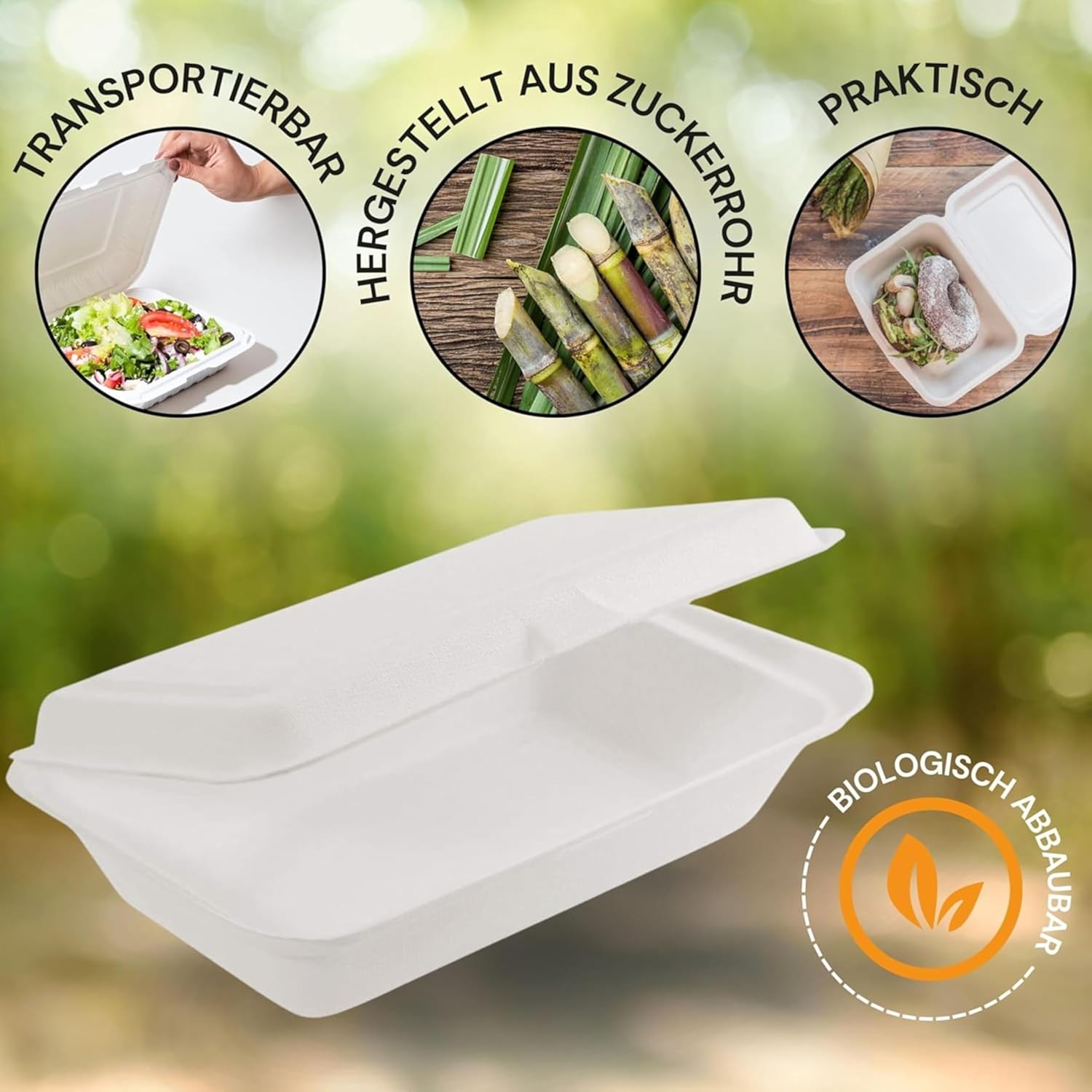 Bio-Take-Away-Box, weiß, 250 x 162 x 63 mm, aus Zuckerrohr, nachhaltige To-Go-Lunchbox, Lebensmittelbox mit Deckel, Einweg-Lebensmittelbehälter, kompostierbar, auslaufsicher (50 Stück) – Bild 4
