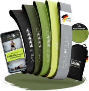 Wild Instincts Loop Bands Set aus S...