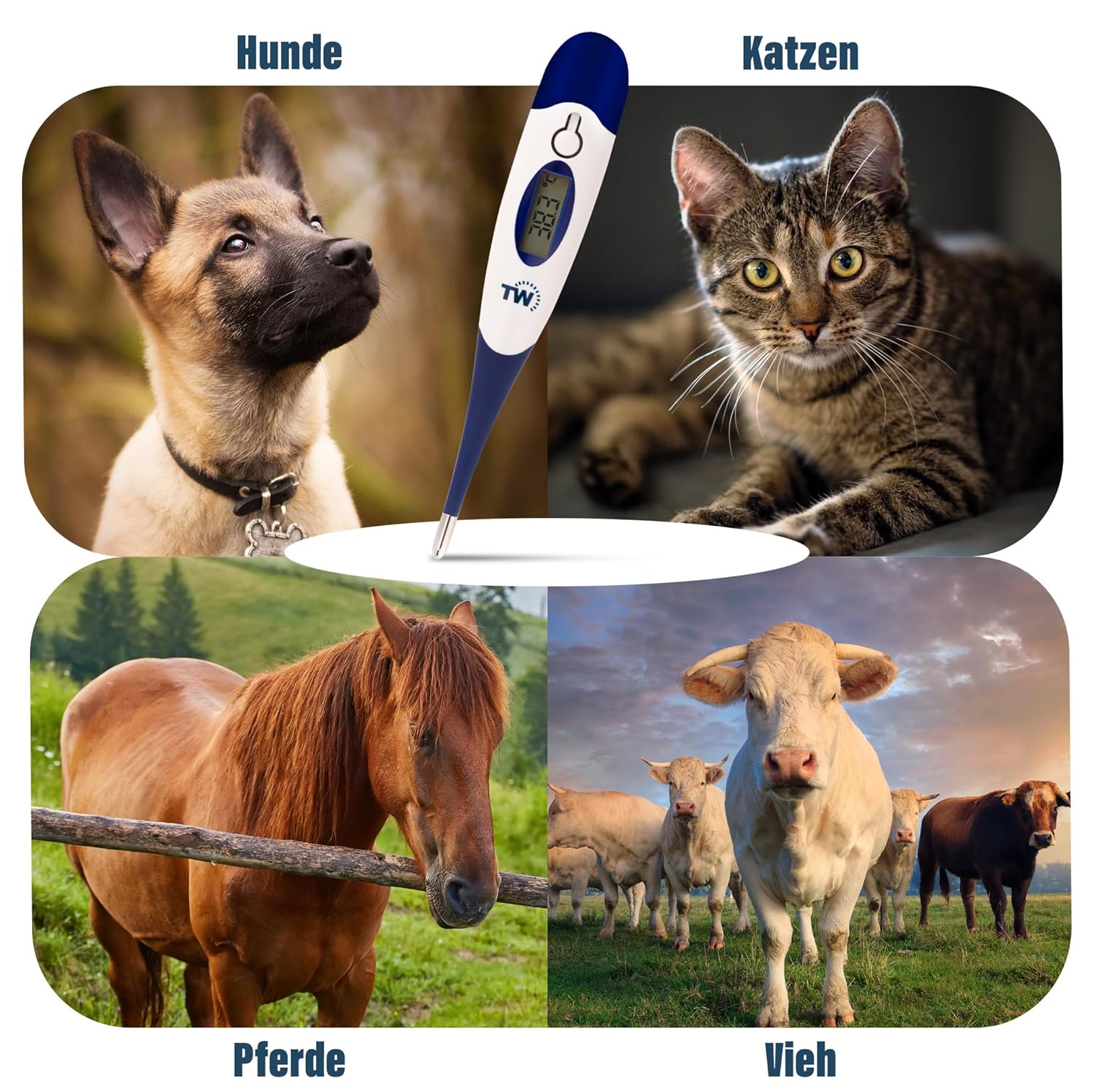 Digitales Tierhalter-Thermometer für Hunde, Katzen, Pferde, Tierärzte, flexibler Temperaturfühler, inklusive Tierarzttabelle – Bild 7