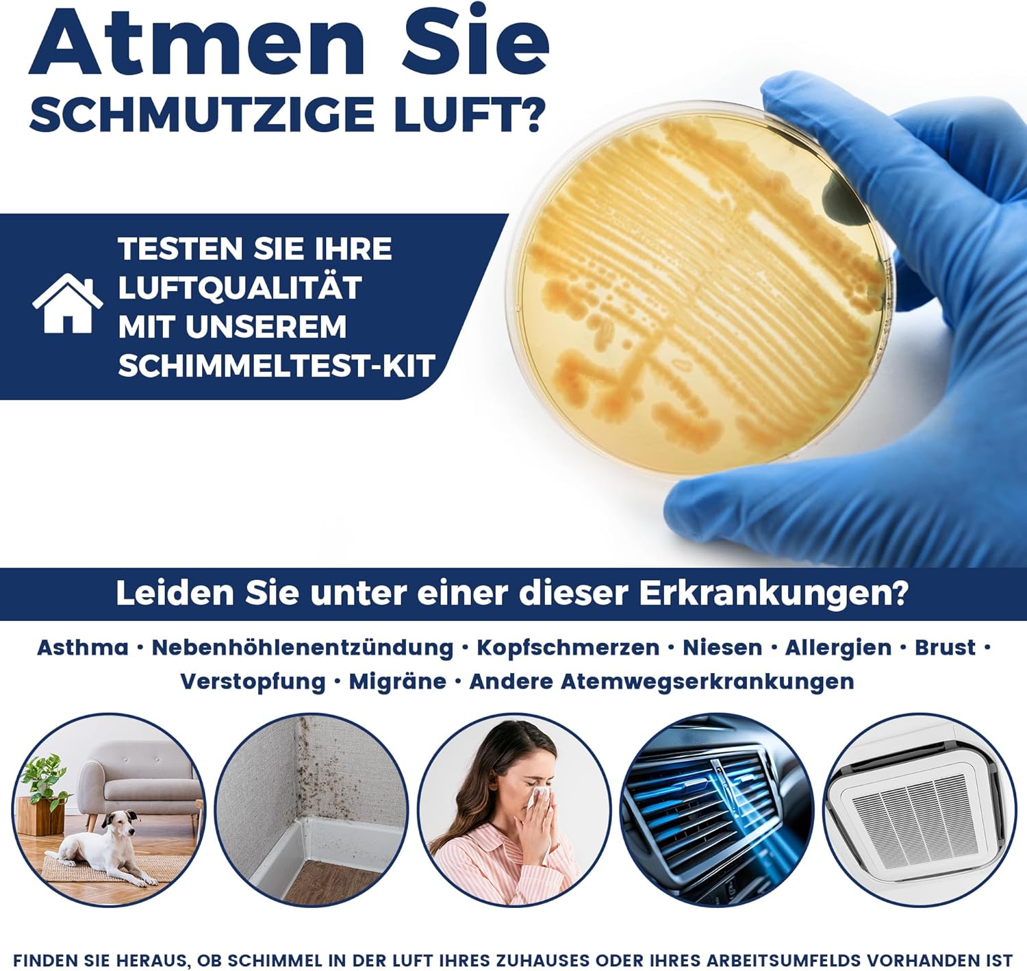 Schimmel-Test-Set für Zuhause – Schimmel-Test für 5 Räume – Schimmel-Schnelltest-Raumluft-Set für Raumluftqualität – inklusive Identifizierungsanleitung und Anleitung – Bild 6