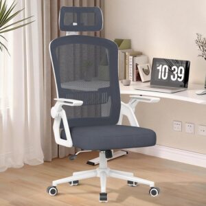 naspaluro Ergonomischer Bürostuhl ...