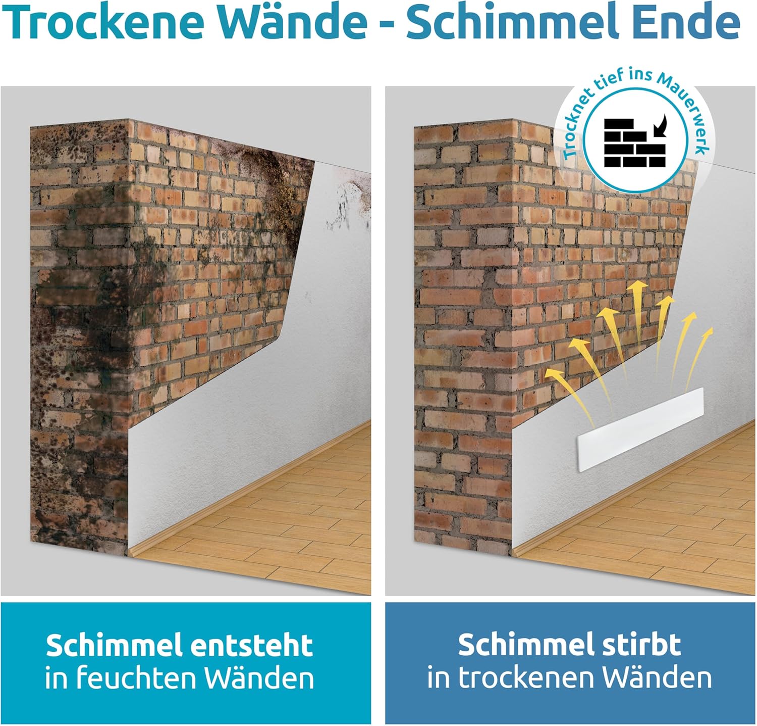 ELIAS Mold Dry – Schimmelentferner für Wand und Badezimmer – ohne Chemikalien – für immer schimmelfrei – die Alternative zu Schimmelspray und Schimmelfarbe für innen weiß – Bild 3