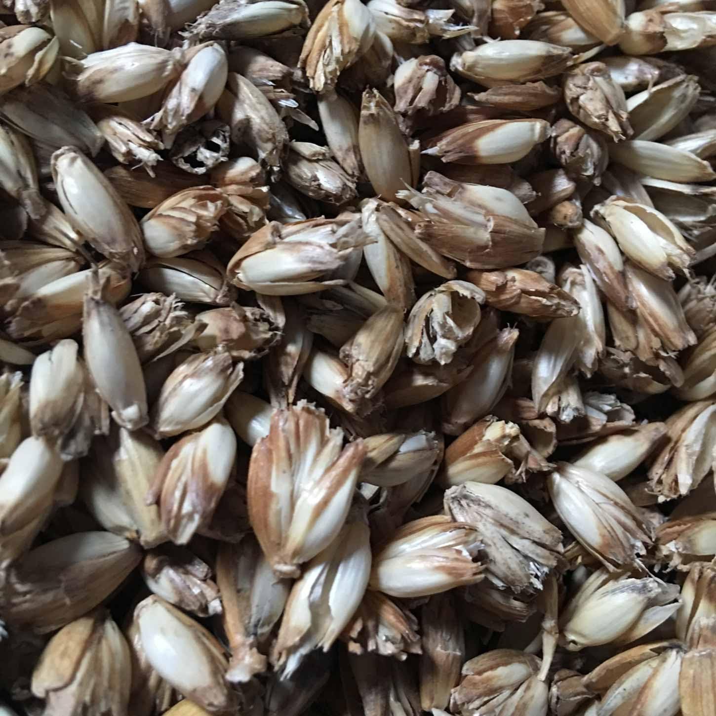 #DoYourYoga Bio-Dinkelspelz zum Füllen und Nachfüllen von Kissen und Nackenrollen, 1 kg bis 30 kg, KBA-Dinkelstreu, ideal für Yoga-Nackenrollen, gereinigt und entstaubt – Bild 6