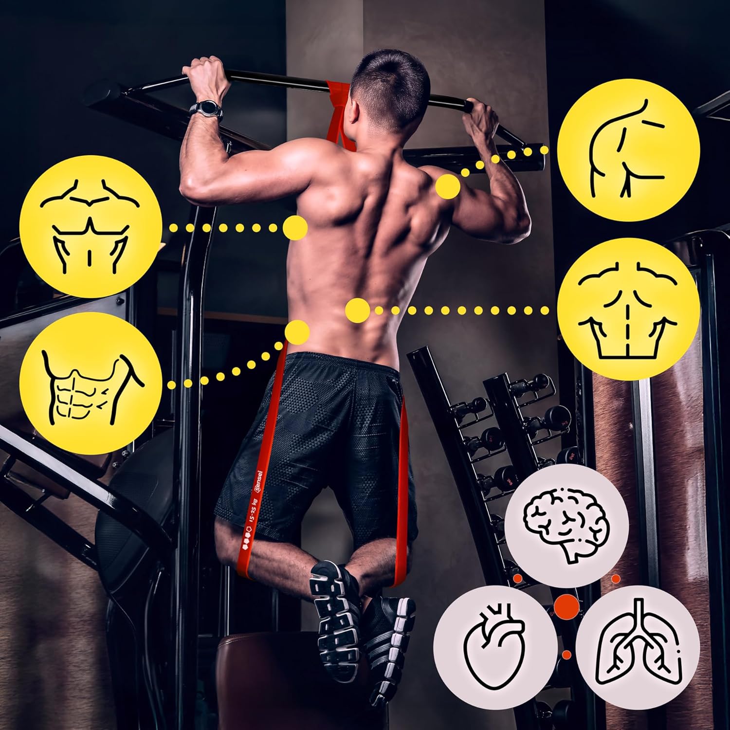 SENSEI Gym Band für Klimmzüge & Krafttraining – Resistance Band, Widerstandsband aus Naturlatex – Trainingsband inkl. Übungs-E-Book – Bild 4