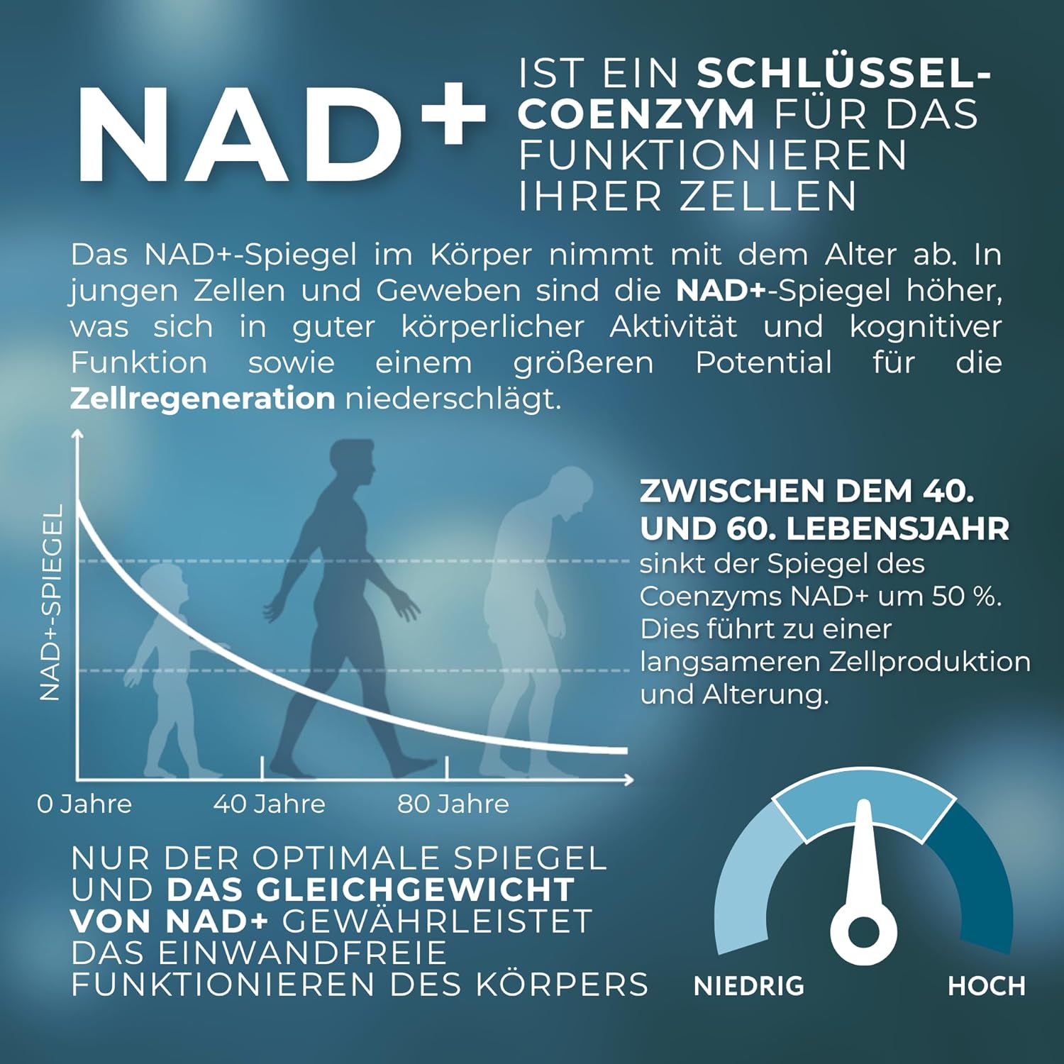 1-MNA, optimierendes NAD+, Anti-Aging, Biohacking-Ergänzung, Sirtuin-Aktivator, Unterstützung der Zellgesundheit, 30 Kapseln – Bild 4